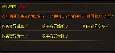法师的神兽