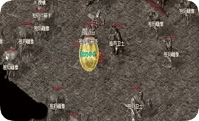新开私服 新开私服